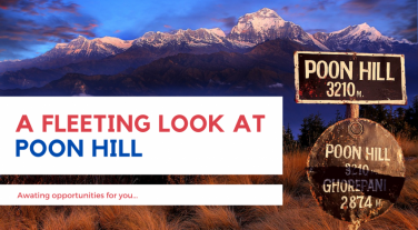 a-fleeting-look-at-poon-hill